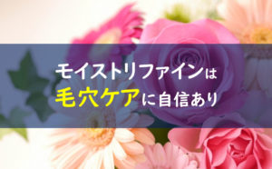 ファンケルモイストリファイン 毛穴