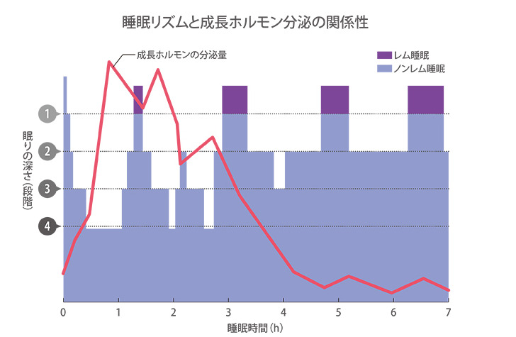 内脂サポート