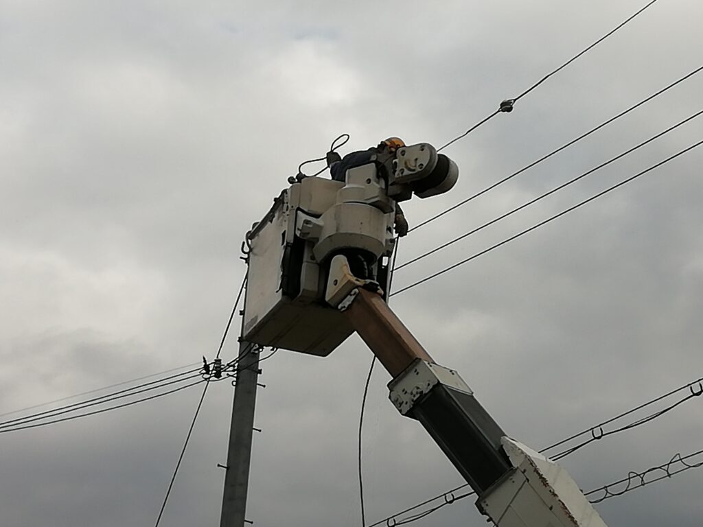 電線鳥よけ対策