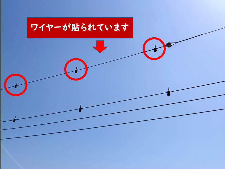 電柱鳥よけ対策ワイヤー