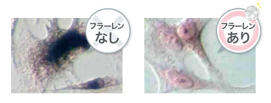 ラントゥルース