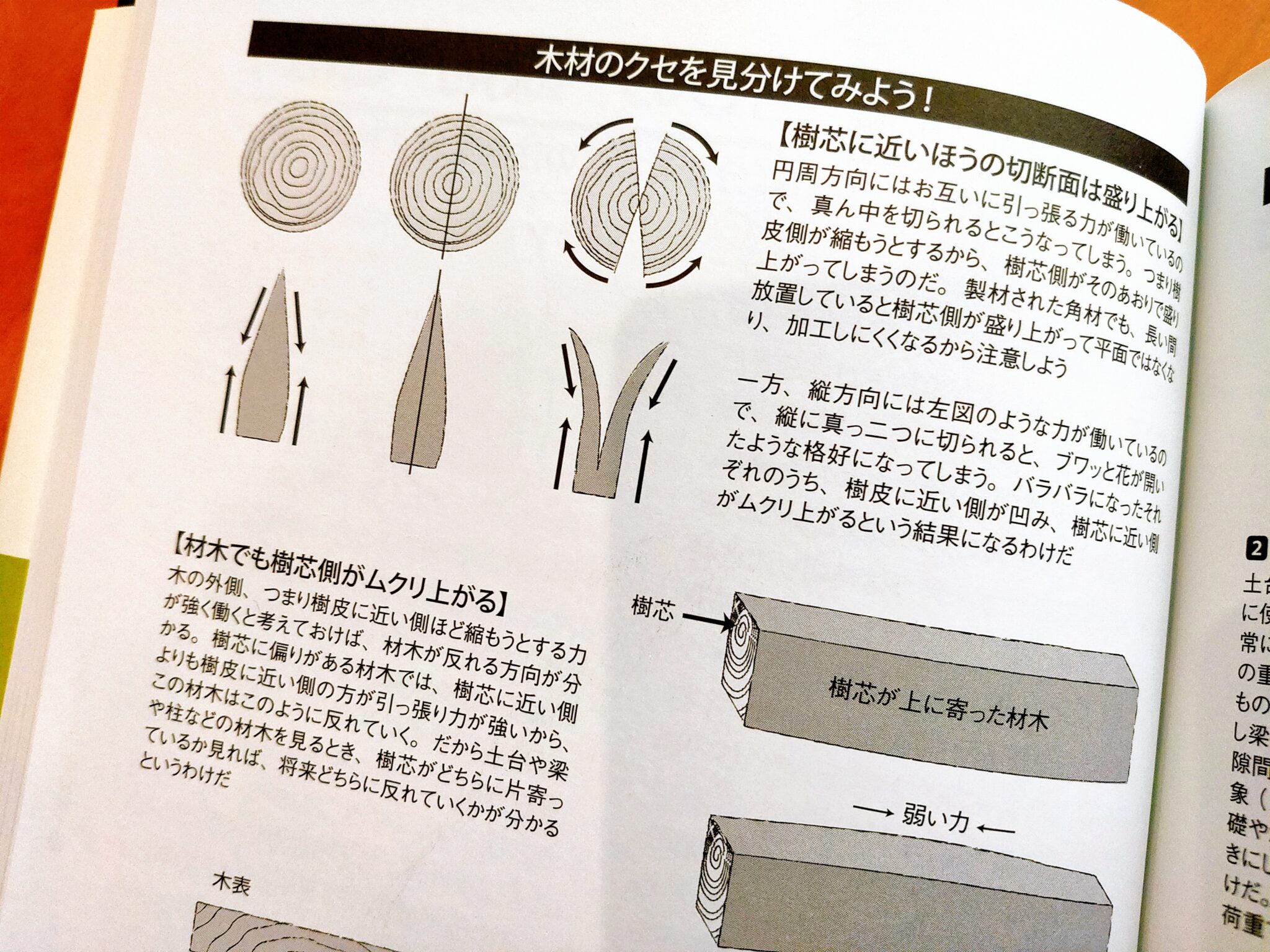 【セルフビルド本のおすすめ7選】自分で家を建てる違法律ならコレを読め! 一条工務店とイツキのブログ 【セルフビルド本のおすすめ7選】自分で家を建てる違法律ならコレを読め! 一条工務店とイツキのブログ