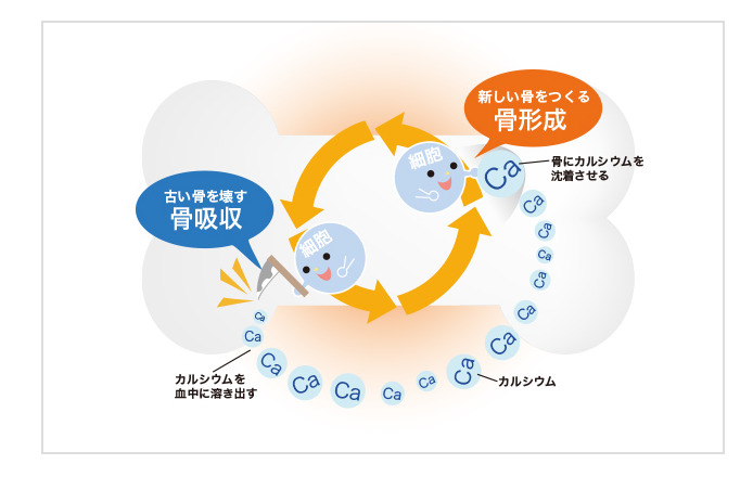 カルシウム